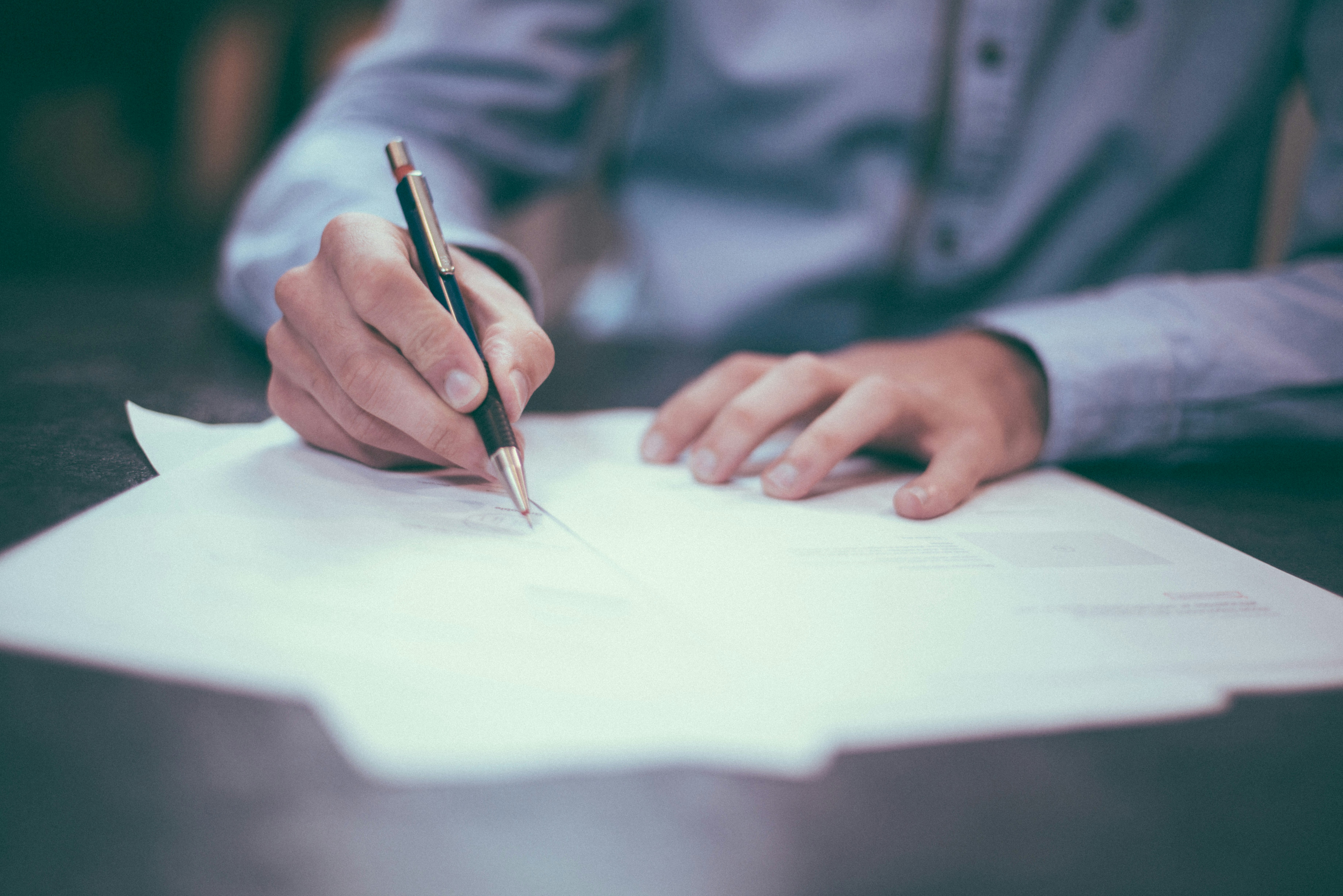 Document processing and visa application services